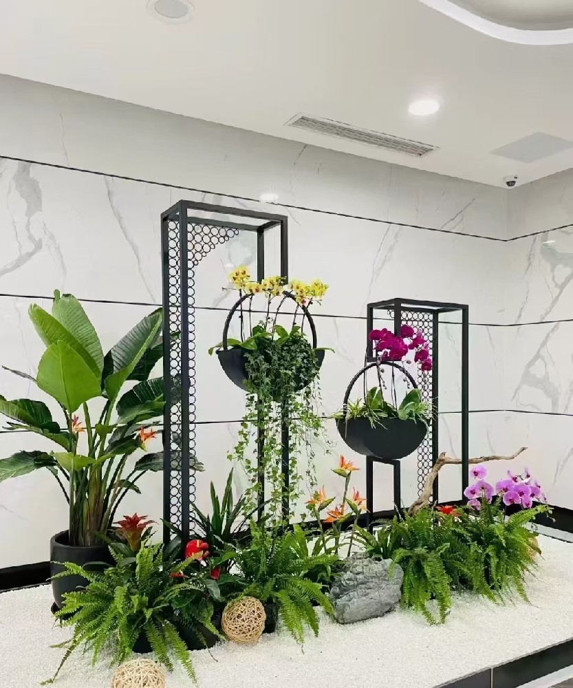 绿植景观